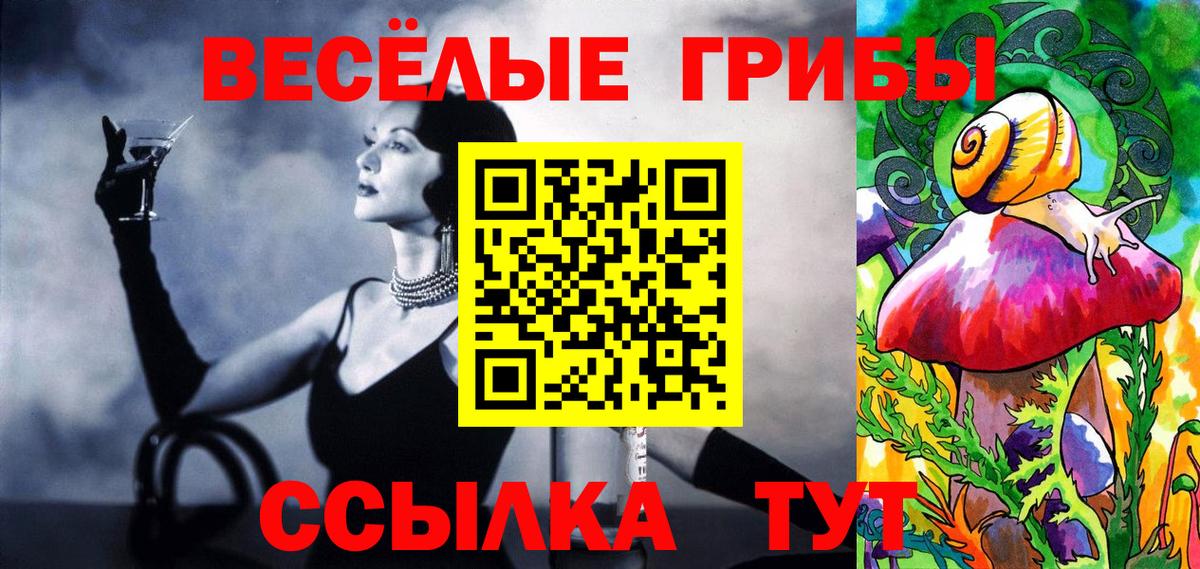 Полевской  Псилоцибиновые грибы MAGIC MUSHROOMS  Вход с VPN 